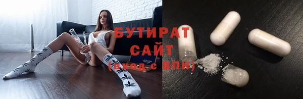 гашик Алексин