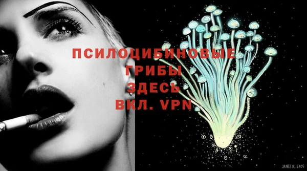 хмурый Армянск