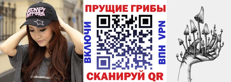 Псилоцибиновые грибы мицелий  блэк спрут ONION  Закаменск 